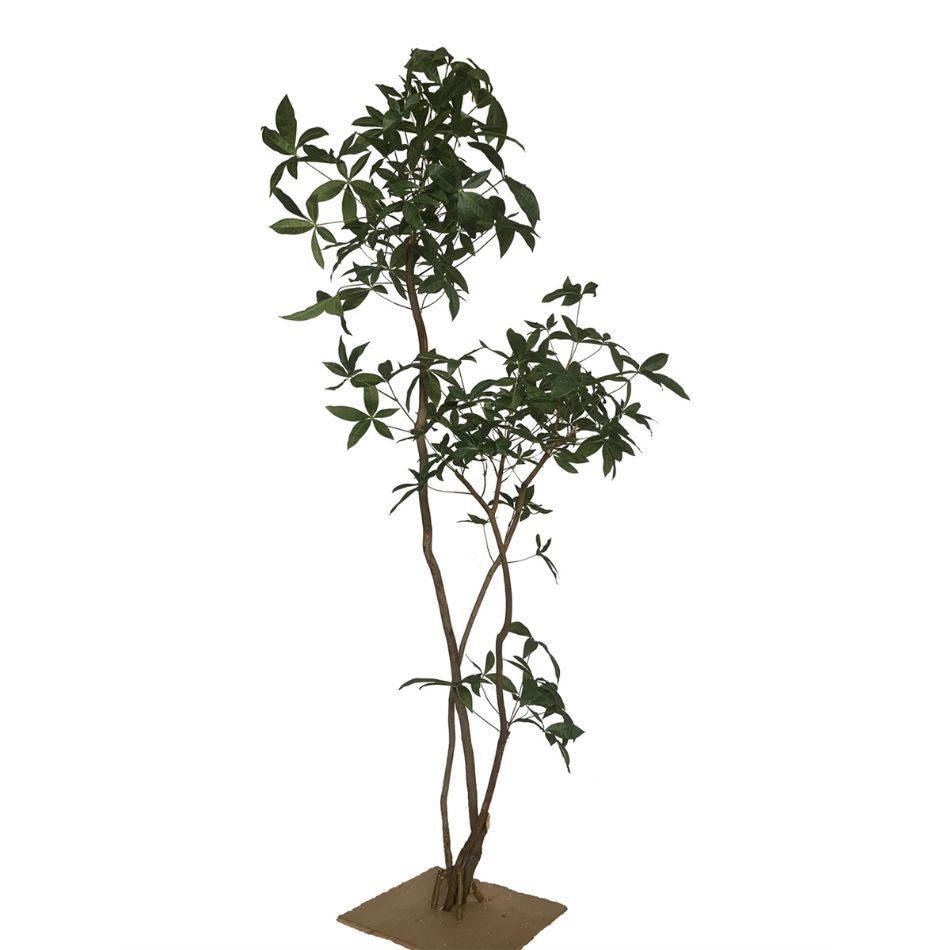 220CM Premium Quality Artificial Money Tree for Interior Design,220CM Premium Quality Artificial Money Tree for Interior Design