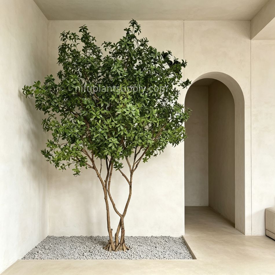 320CM High Quality Large Artificial Pieris Tree for Interior Design,320CM High Quality Large Artificial Pieris Tree for Interior Design