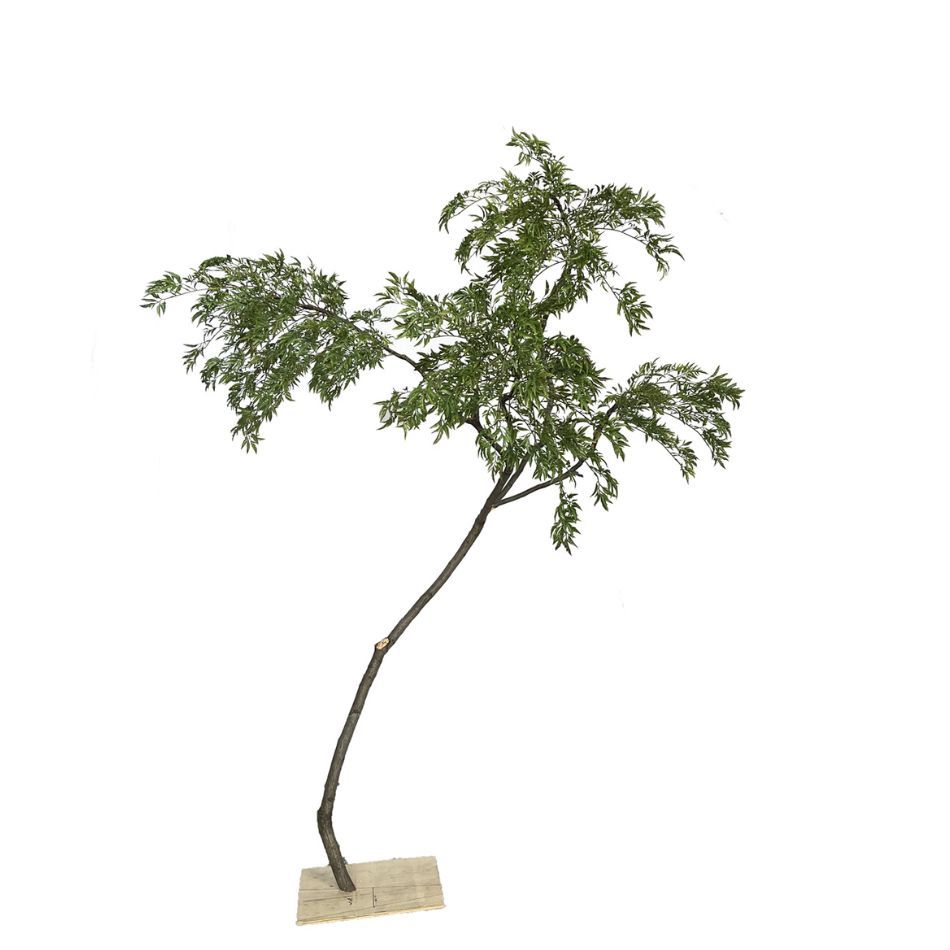 200CM Natural Style Large Artificial Pieris Tree for Interior Design,200CM Natural Style Large Artificial Pieris Tree for Interior Design