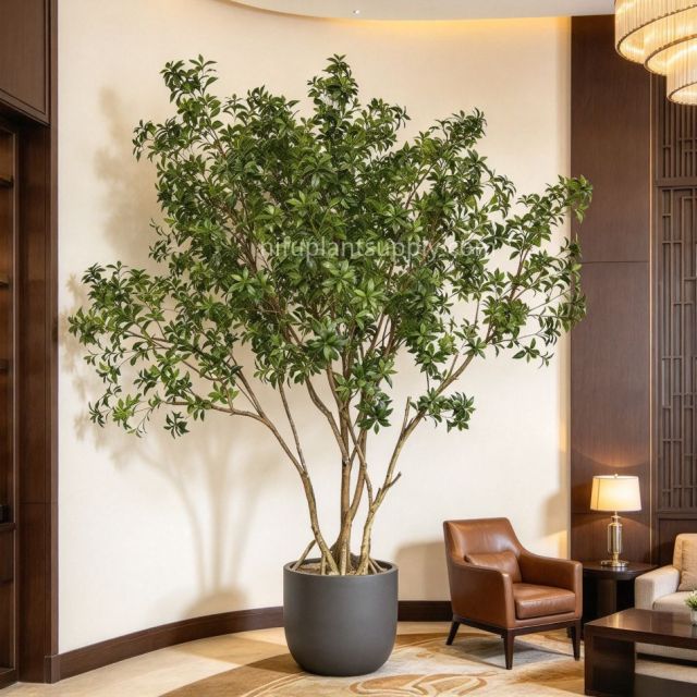 260CM Lifelike Faux Pieris Japonica Potted Tree for interior design,260CM Lifelike Faux Pieris Japonica Potted Tree for interior design