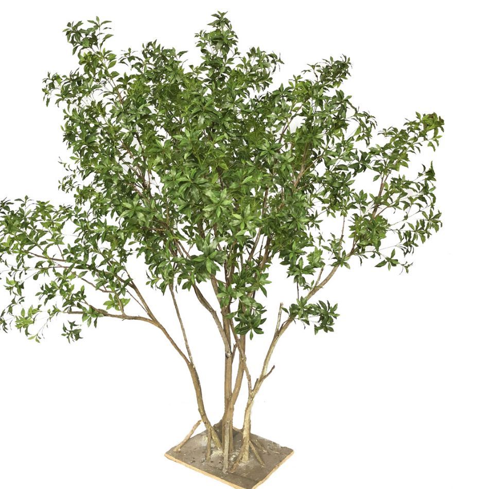 260CM Lifelike Faux Pieris Japonica Potted Tree for interior design,260CM Lifelike Faux Pieris Japonica Potted Tree for interior design