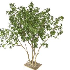260CM Lifelike Faux Pieris Japonica Potted Tree for interior design,260CM Lifelike Faux Pieris Japonica Potted Tree for interior design