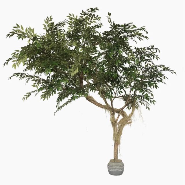 215CM Stunning Faux Banyan Potted Tree for interior design,215CM Stunning Faux Banyan Potted Tree for interior design