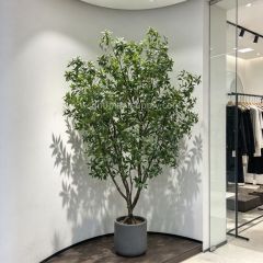 240CM High Simulated Artificial Pieris Potted Tree for Home Decor,240CM High Simulated Artificial Pieris Potted Tree for Home Decor