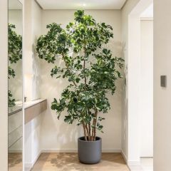 265CM Real Touch Artificial Schefflera Potted Tree for indoor decor,265CM Real Touch Artificial Schefflera Potted Tree for indoor decor