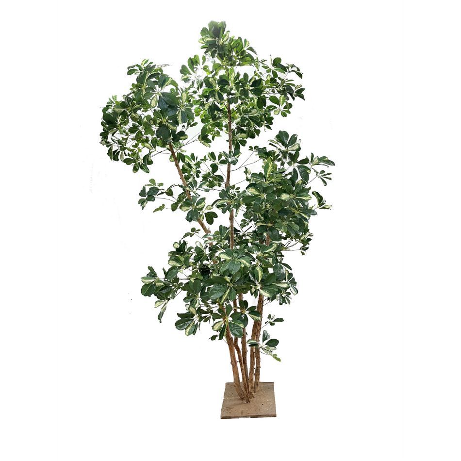 265CM Real Touch Artificial Schefflera Potted Tree for indoor decor,265CM Real Touch Artificial Schefflera Potted Tree for indoor decor