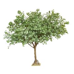 290CM Realistic Large Artificial Eucalyptus Potted Tree for interior design,290CM Realistic Large Artificial Eucalyptus Potted Tree for interior design