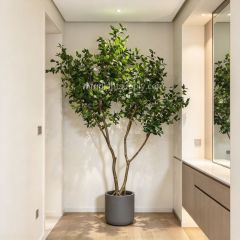 240CM Premium Quality Artificial Ficus Potted Tree for interior design,240CM Premium Quality Artificial Ficus Potted Tree for interior design