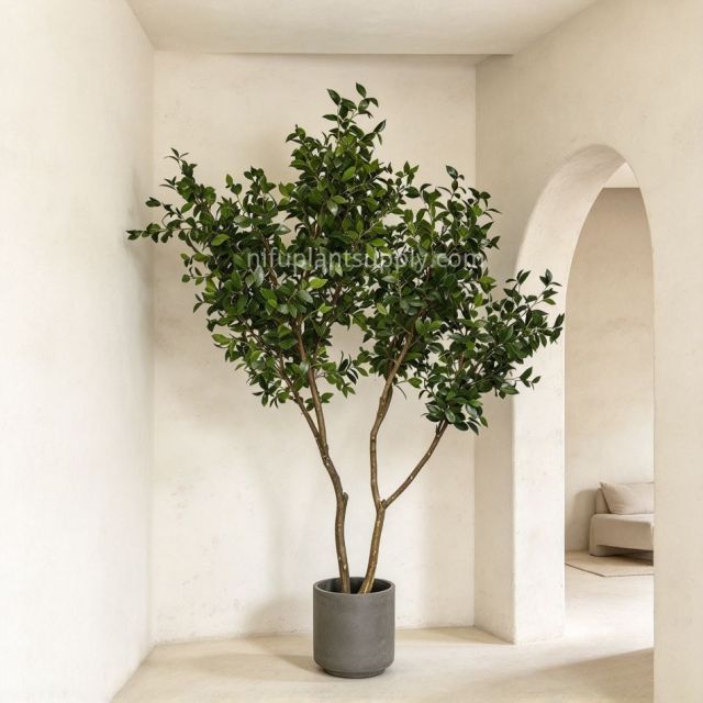 240CM Premium Quality Artificial Ficus Potted Tree for interior design,240CM Premium Quality Artificial Ficus Potted Tree for interior design