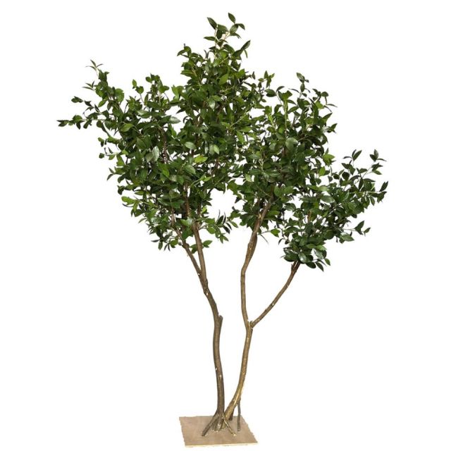 240CM Premium Quality Artificial Ficus Potted Tree for interior design,240CM Premium Quality Artificial Ficus Potted Tree for interior design