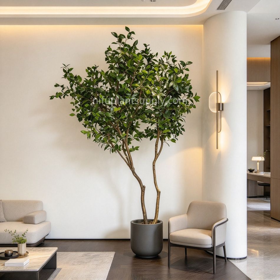 240CM Natural Form Artificial Ficus Potted Tree for Home Decor,240CM Natural Form Artificial Ficus Potted Tree for Home Decor
