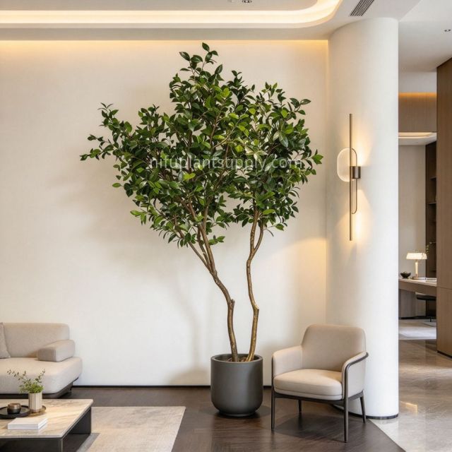 240CM Natural Form Artificial Ficus Potted Tree for Home Decor,240CM Natural Form Artificial Ficus Potted Tree for Home Decor