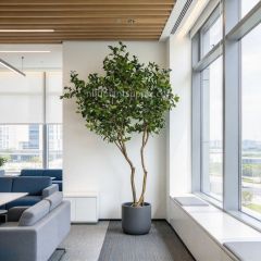 240CM Natural Form Artificial Ficus Potted Tree for Home Decor,240CM Natural Form Artificial Ficus Potted Tree for Home Decor