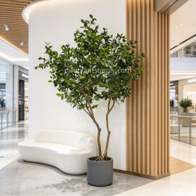 240CM Natural Form Artificial Ficus Potted Tree for Home Decor,240CM Natural Form Artificial Ficus Potted Tree for Home Decor