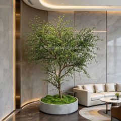 245CM Natural Look Large Artificial Thin Leaf Tree Potted Tree for interior design,245CM Natural Look Large Artificial Thin Leaf Tree Potted Tree for interior design
