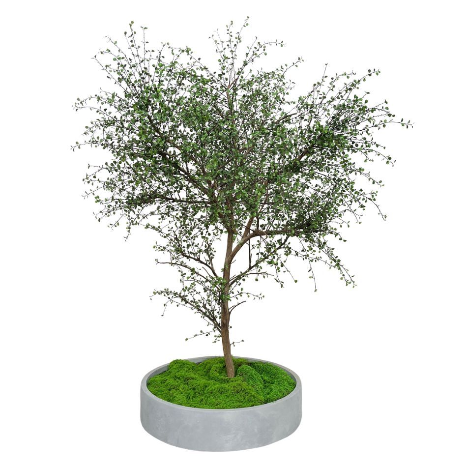 245CM Natural Look Large Artificial Thin Leaf Tree Potted Tree for interior design,245CM Natural Look Large Artificial Thin Leaf Tree Potted Tree for interior design