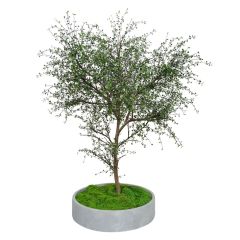 245CM Natural Look Large Artificial Thin Leaf Tree Potted Tree for interior design,245CM Natural Look Large Artificial Thin Leaf Tree Potted Tree for interior design