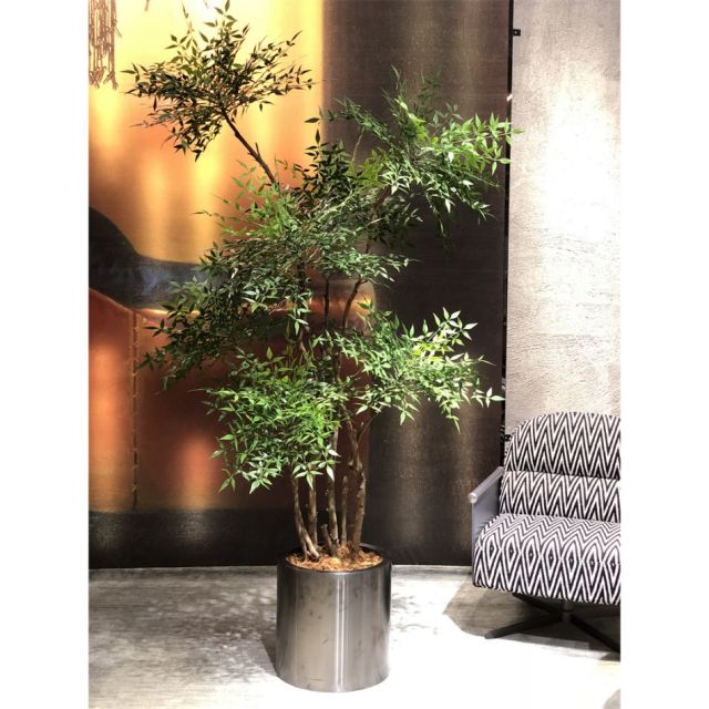 230CM Nearly Natural Artificial Nandina Tree Potted Plant for Office Decor,230CM Nearly Natural Artificial Nandina Tree Potted Plant for Office Decor