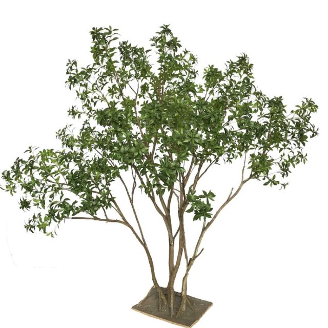 260CM Modern Design Large Artificial Pieris Tree Potted Tree for Interior Decoration,260CM Modern Design Large Artificial Pieris Tree Potted Tree for Interior Decoration