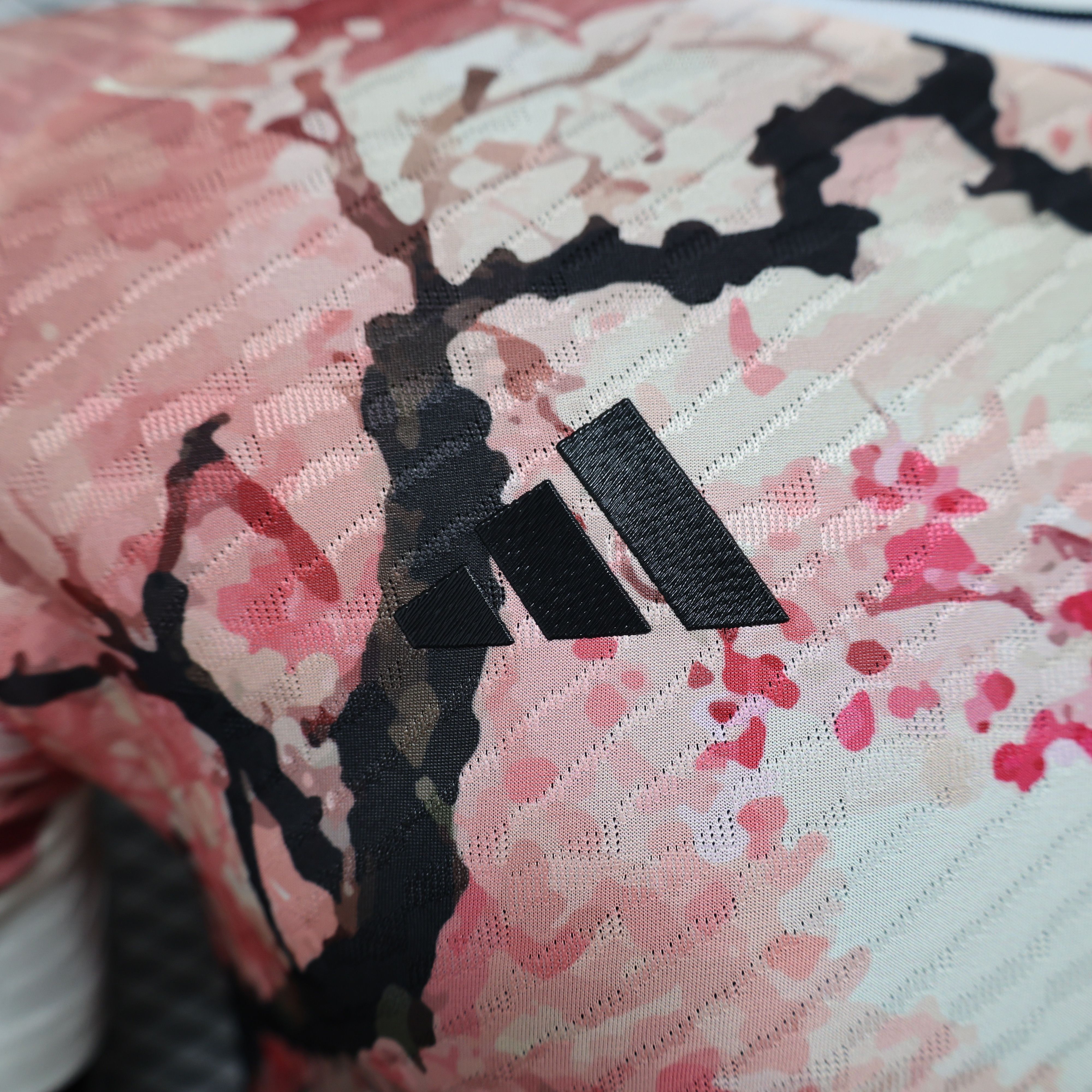 2024/2025 Players Edition Japan Special Edition Football Jerseys