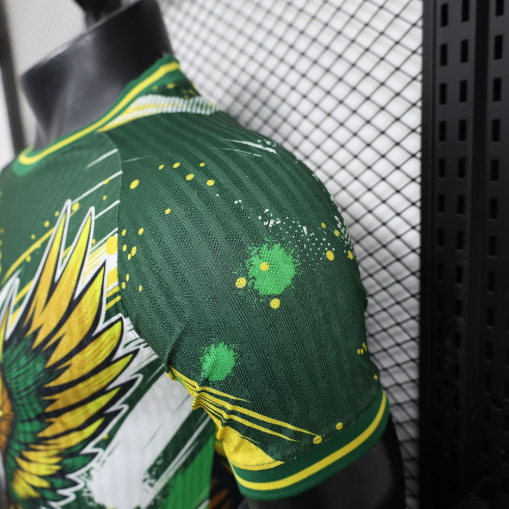 2024/2025 Players Edition Brazil Special Edition Football Jersey