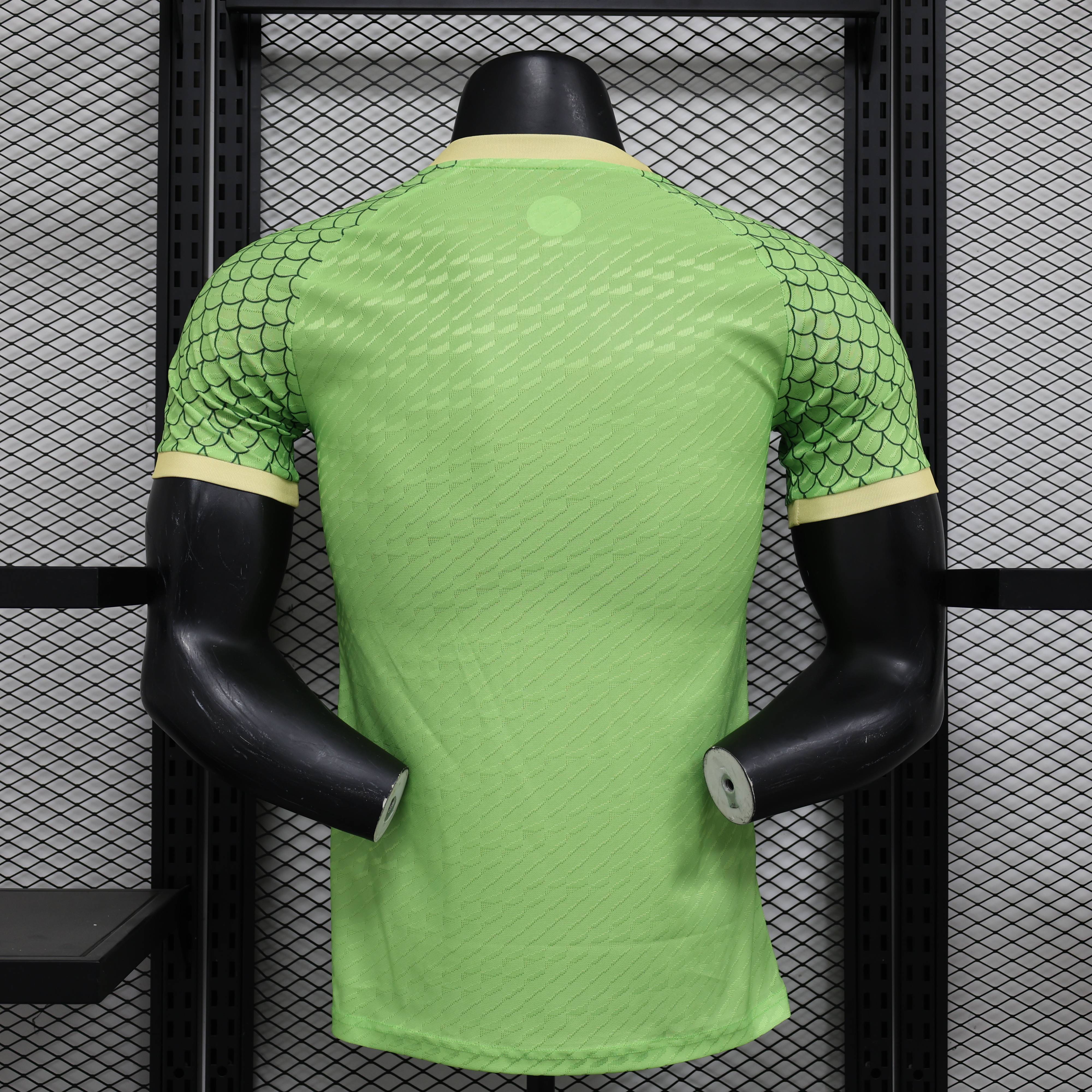 2024/2025 Player Edition Japan Special Edition Football Jersey