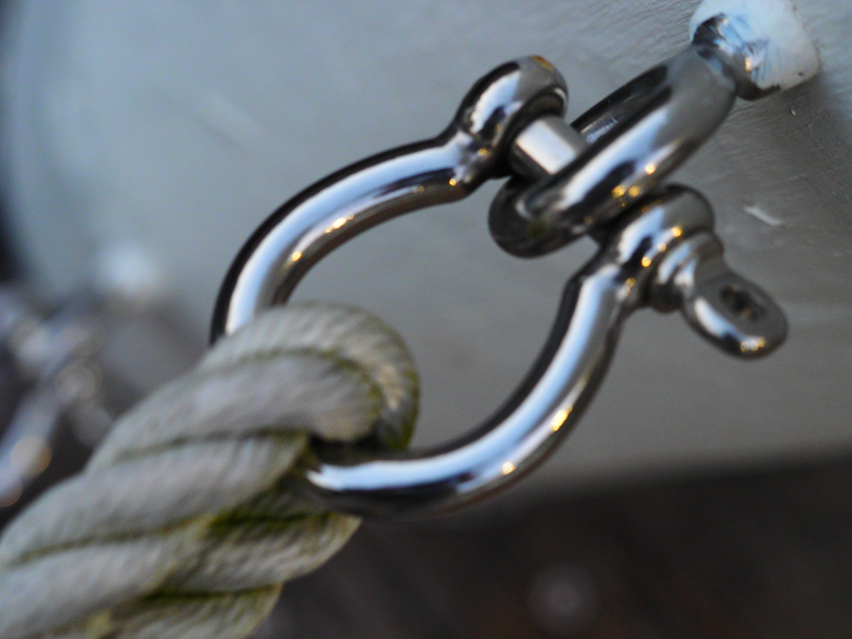 Stainless Steel Shackle Collection