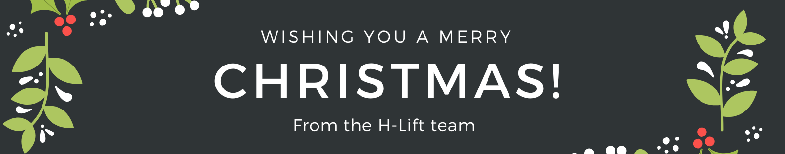 Season's Greeting from H-Lift Team