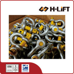 Grade S Screw Pin Bow Shackle AS 2741