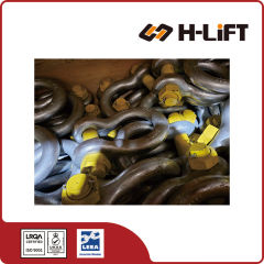 Bolt Type Anchor Shackle