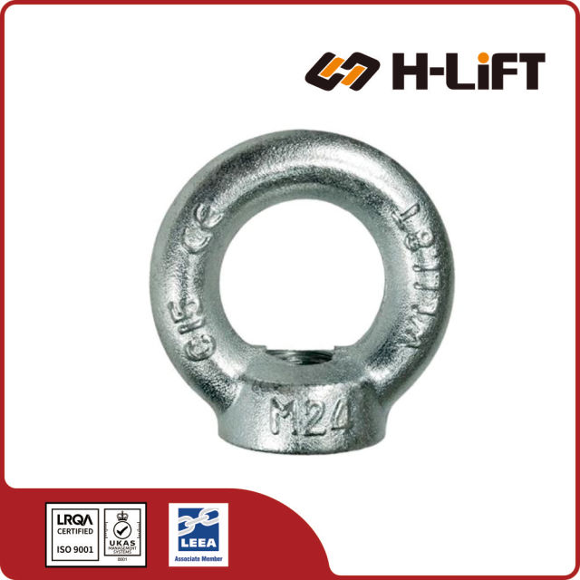 DIN 582 Eye Nut