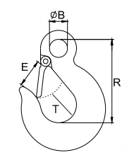 Eye Slip Hook with Latch