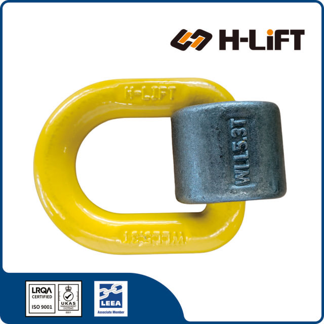 Grade 80 Weld on D Ring DRS Type