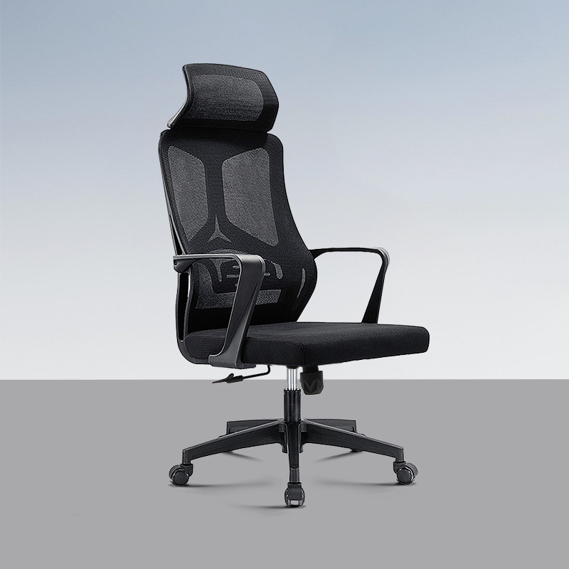 Ergonomic Mesh Office Chair with Adjustable Lumbar Support - High Back Swivel Task Chair