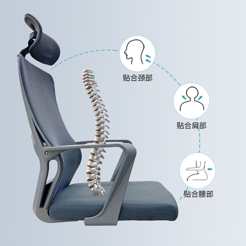 Ergonomic Mesh Office Chair with Adjustable Lumbar Support - High Back Swivel Task Chair
