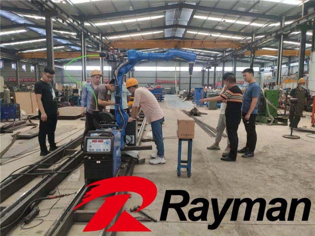 Small Economic Cost Save type automatic robotic box palletizer, servo palletising machine with 30kgs loading weight