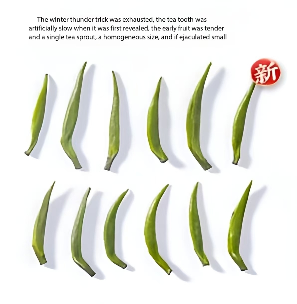 Jasmine Tea Bird's Tongue Premium