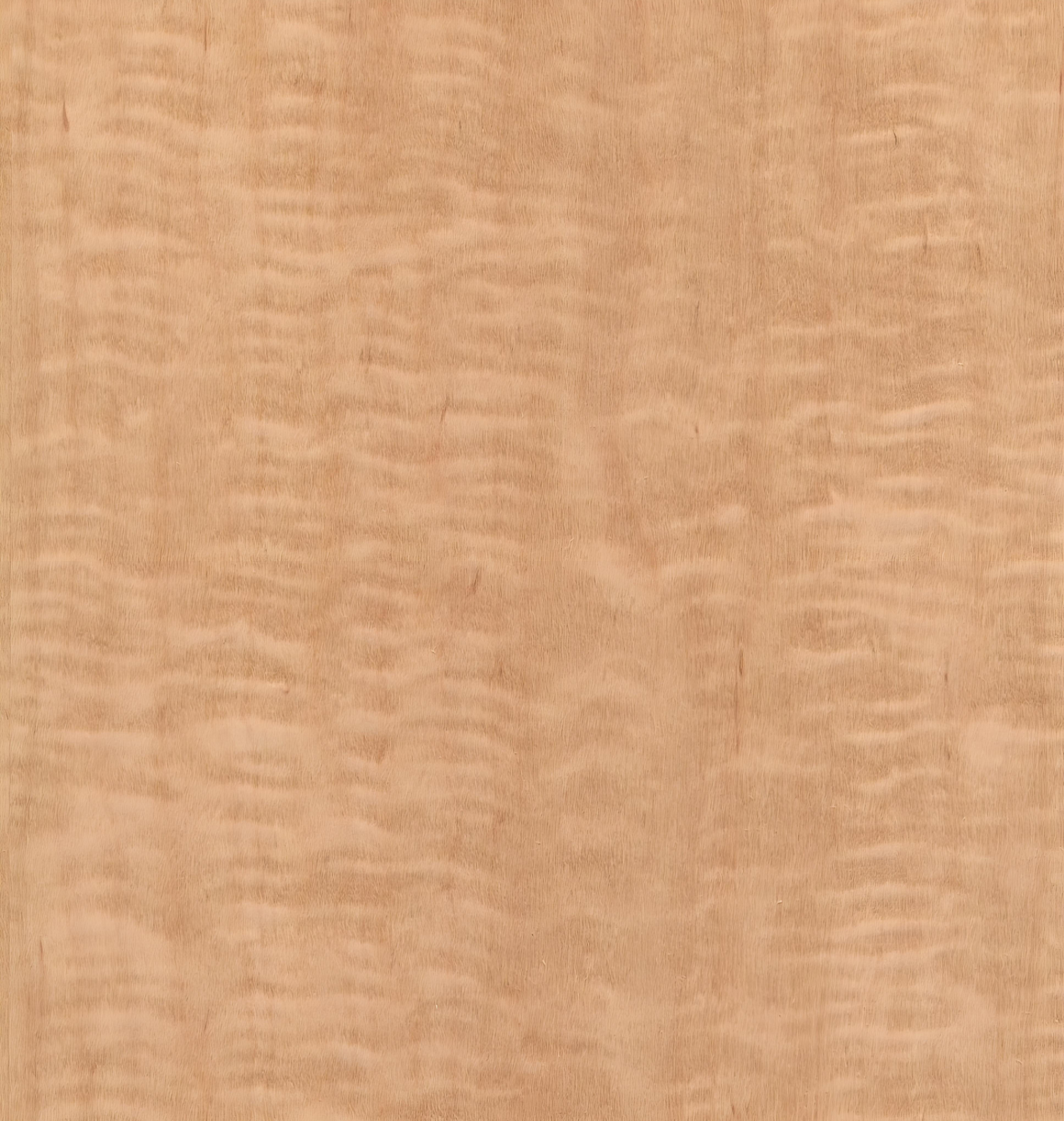 Natural Maple Veneer