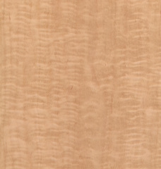 Natural Maple Veneer