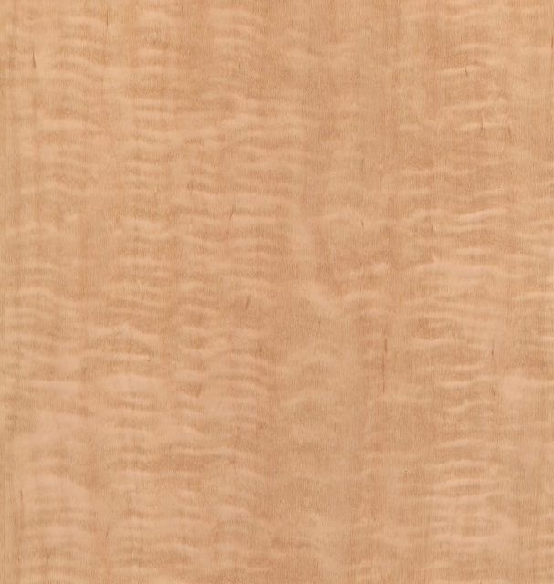 Natural Maple Veneer