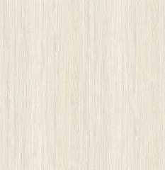Natural Maple Veneer