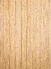 Natural Sapele Veneer