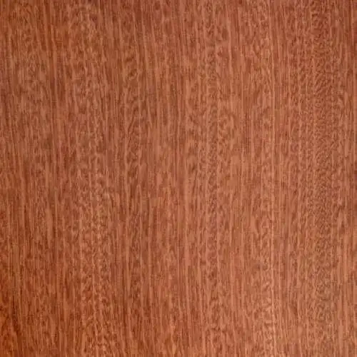 Natural Sapele Veneer