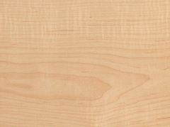 Natural Maple Veneer