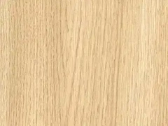 Natural Maple Veneer