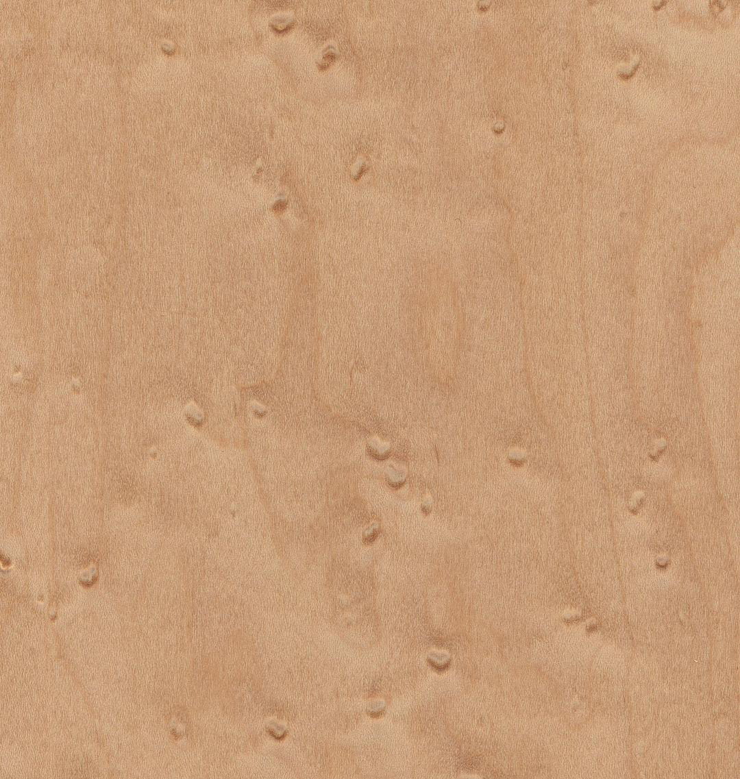Natural Maple Veneer