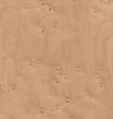 Natural Maple Veneer