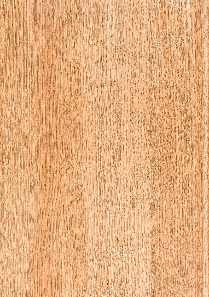 Natural Maple Veneer