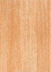 Natural Maple Veneer