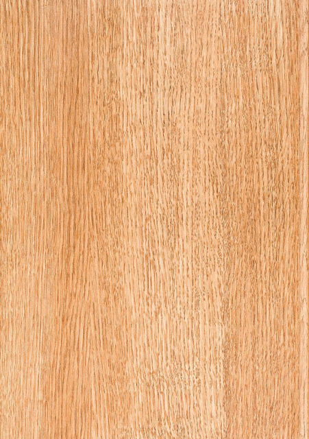 Natural Maple Veneer
